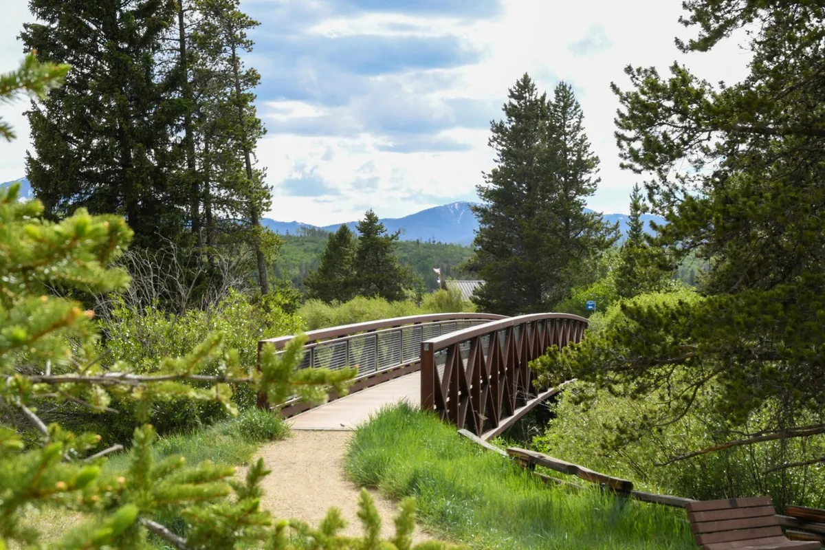A peaceful outdoor scene featuring a wooden bridge surrounded by lush trees and with distant mountains on the horizon. Ideal for walking and biking, this inviting landscape captures the spirit of exploring nature right outside your door.